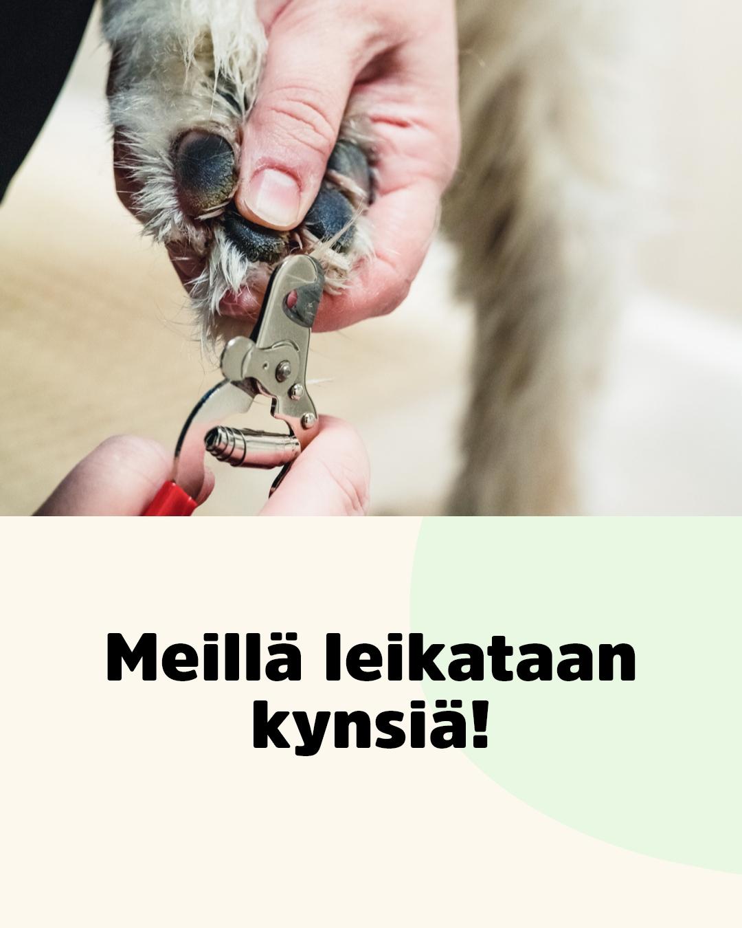 Koirien kynsienleikkuuta ilman ajanvarausta!