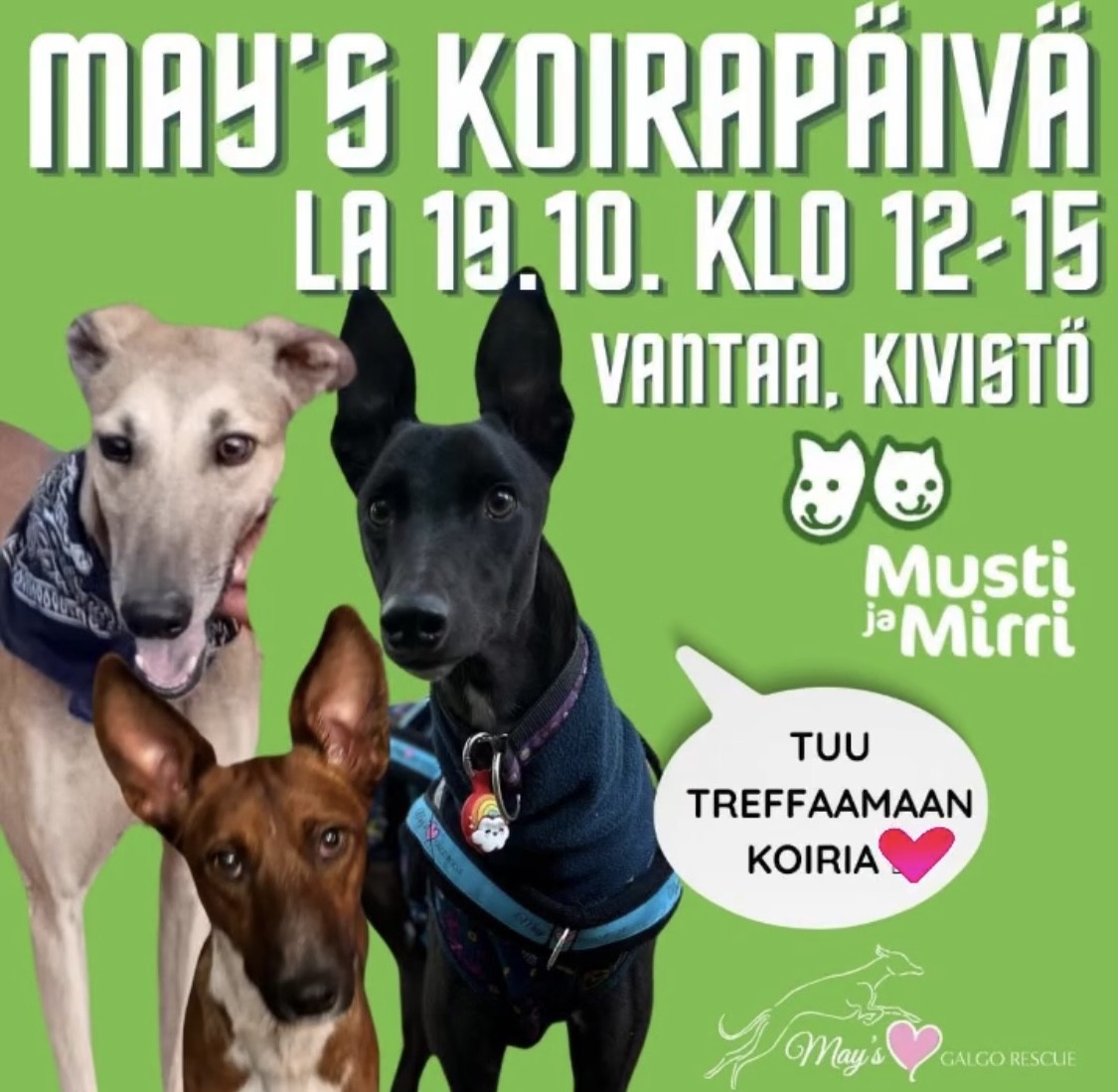 May`s Galgo Rescuen vierailu