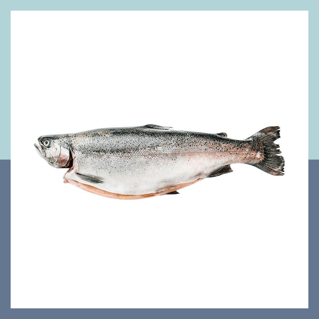 Ruokatorilta kokonainen kirjolohi superior